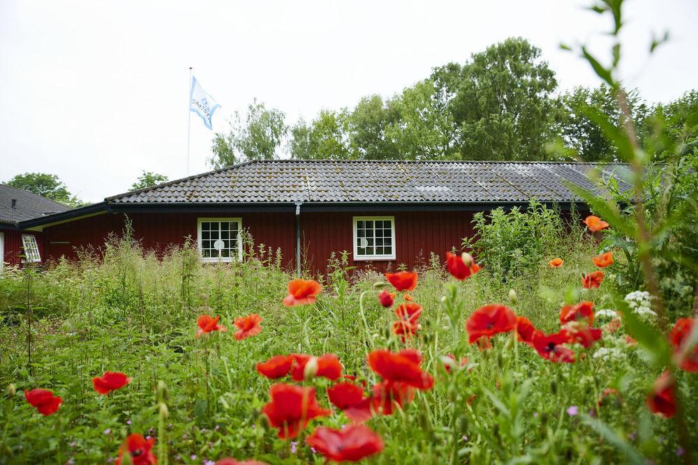 Kerteminde Hostel Exterior photo